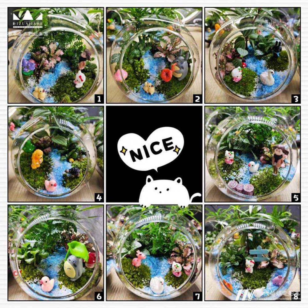 深圳“微景观DIY”少儿活动在线招募中(图1) 深圳“微景观DIY”少儿活动在线招募中(图1)