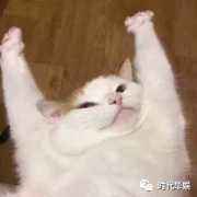 开学新福利，华娱就宠你 | 价值299元口才训练表达课0元限量免费送！