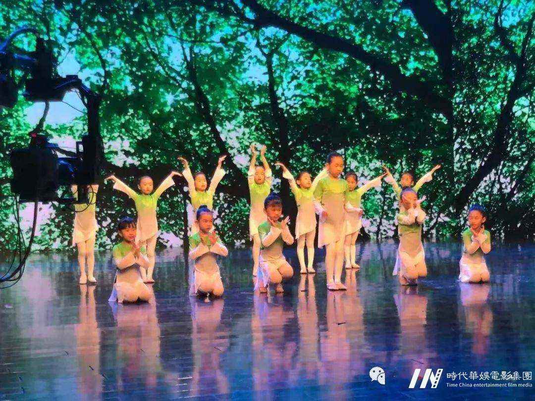 深圳电视台“喜迎新年”春节晚会招募启动(图4)