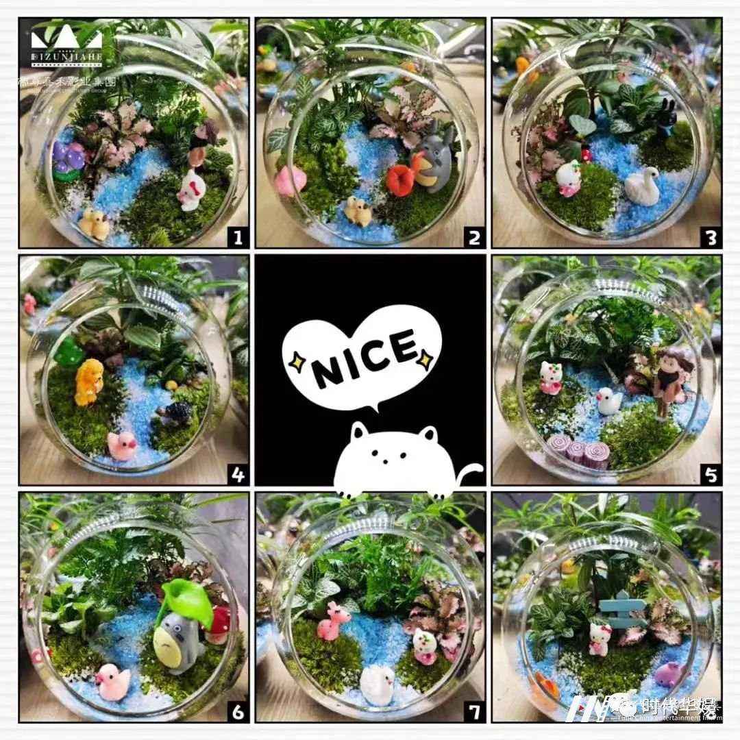 环球童影 体验活动｜少儿微景观DIY活动招募通告(图3)