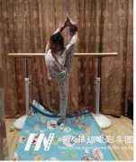 街舞培训一般都是怎么要求服装穿着的？