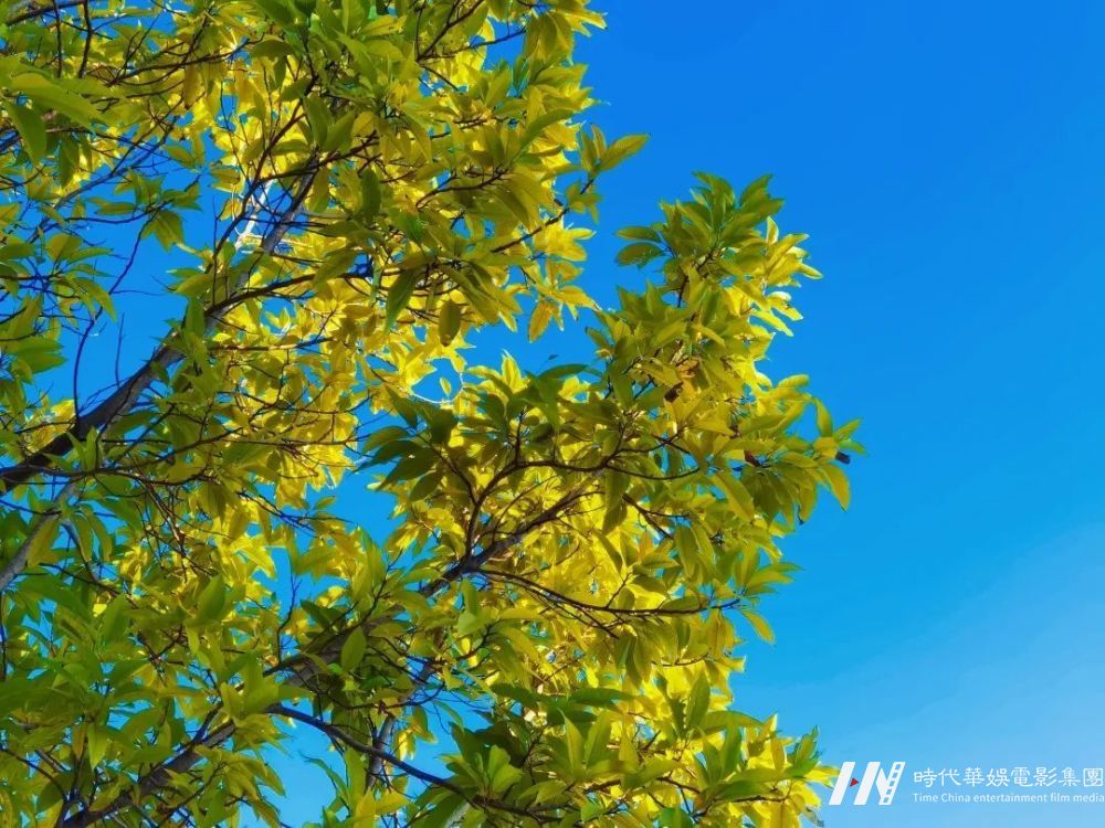 嘉佳卡通卫视:今日立春，你们想好去哪里踏春了吗？