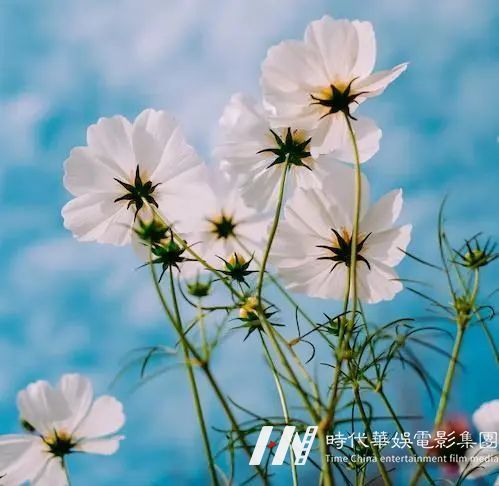 糊春牛、吃春饼……今日立春，你们想好去哪里踏春了吗？(图16)
