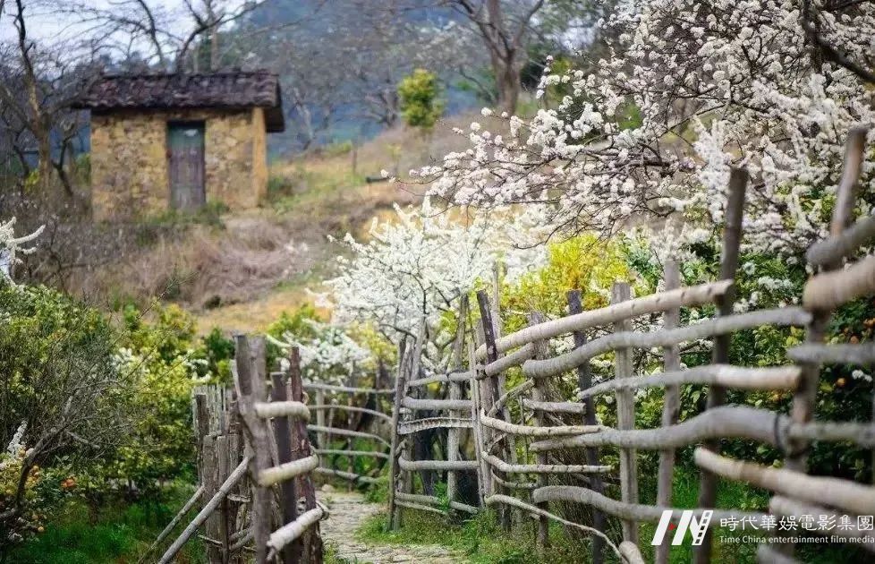 周末去哪儿丨从化一天亲子自驾游｜李花竹林溪谷徒步赏李花，探秘蜜蜂王国，手作豆腐花(图2)