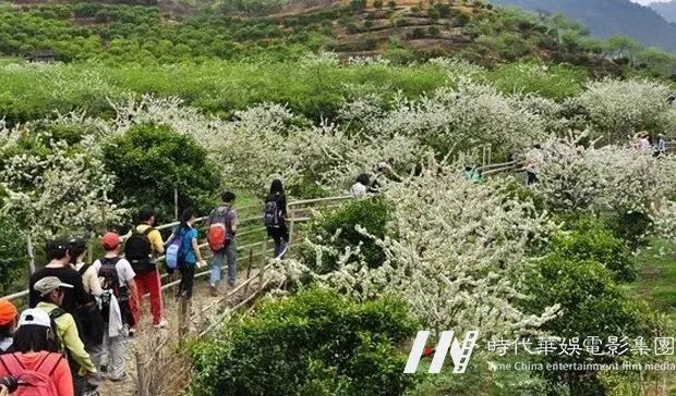 周末去哪儿丨从化一天亲子自驾游｜李花竹林溪谷徒步赏李花，探秘蜜蜂王国，手作豆腐花(图4)