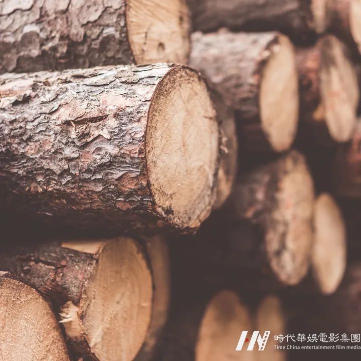 树木为什么会落叶？年轮疏密的背后隐藏着什么秘密？了解树木，一起走近大自然！(图7)