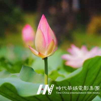 少儿舞蹈培训演出时服装的重要性(图1) 少儿舞蹈培训演出时服装的重要性(图1)