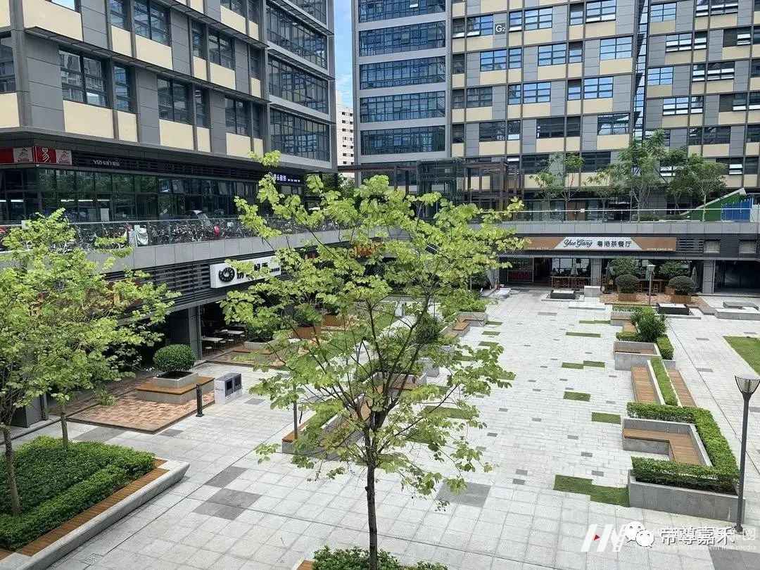场地攻略指引 | 2021第二届《未来星主播》小主持人大赛暨《巅峰之战》决赛(图5) 图片