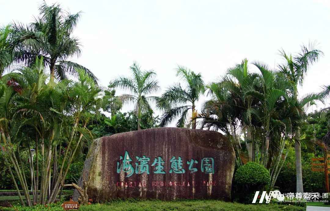 未来超模全国总决赛 | 是未来超模,也是绿色小精灵(图14) 图片