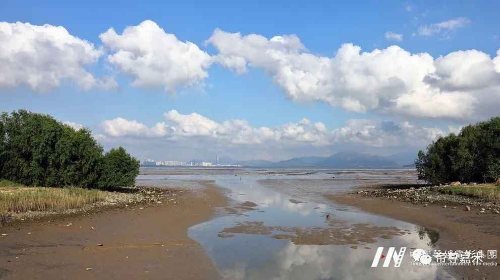 未来超模全国总决赛 | 是未来超模,也是绿色小精灵(图12) 图片