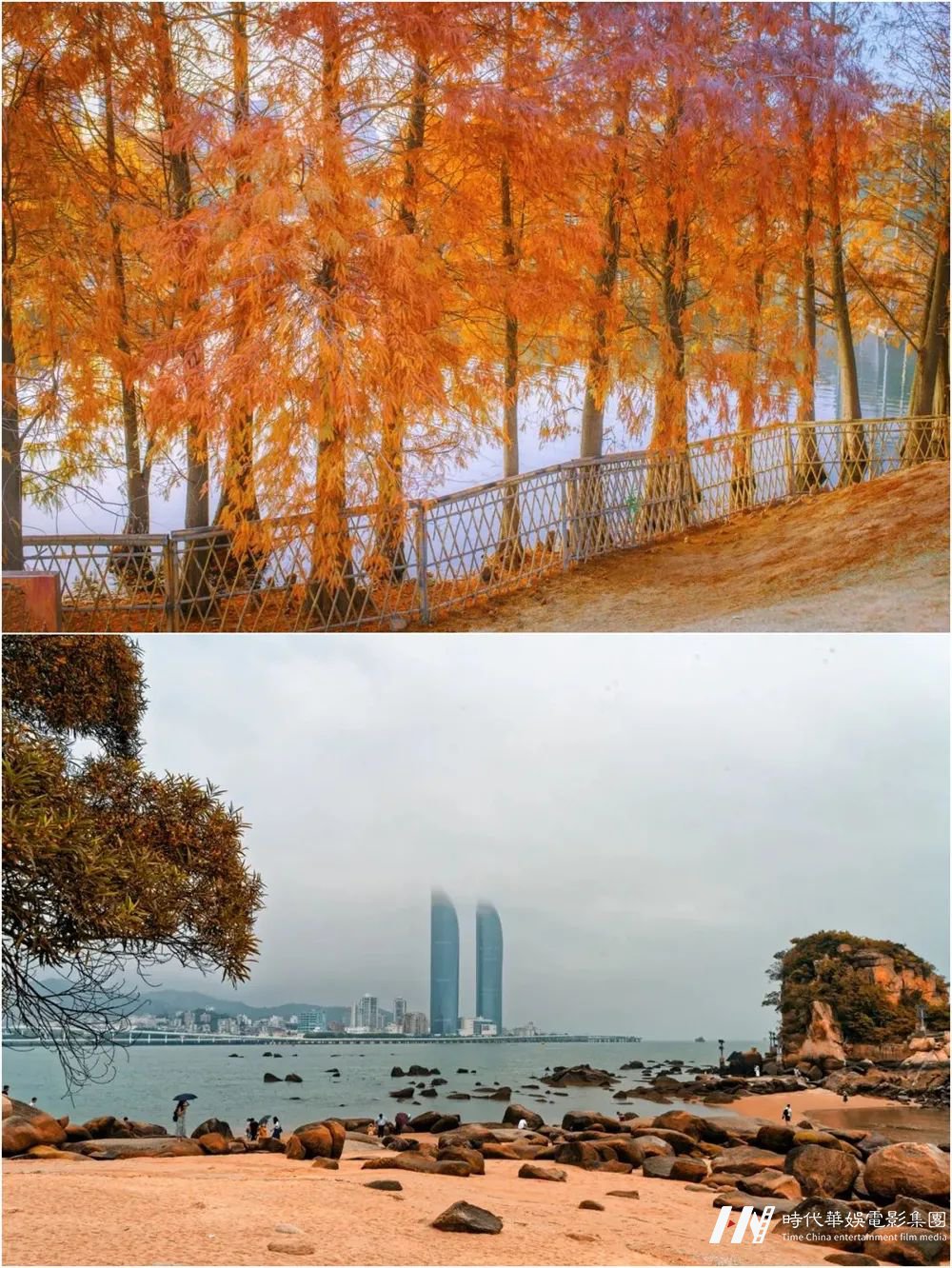中国少儿模特明星盛典 | 冲上热搜!一起追寻厦门蓝眼泪(图4) 图片