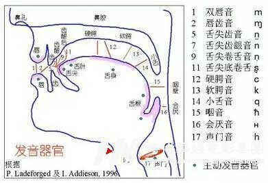 身为播音主持专业的你，知道播音主持可以自学(图2)
