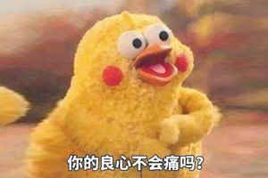 ​环球童影赛事栏目等活动消息从何而来